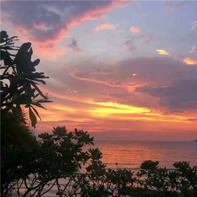 必一体育sport官网正式版